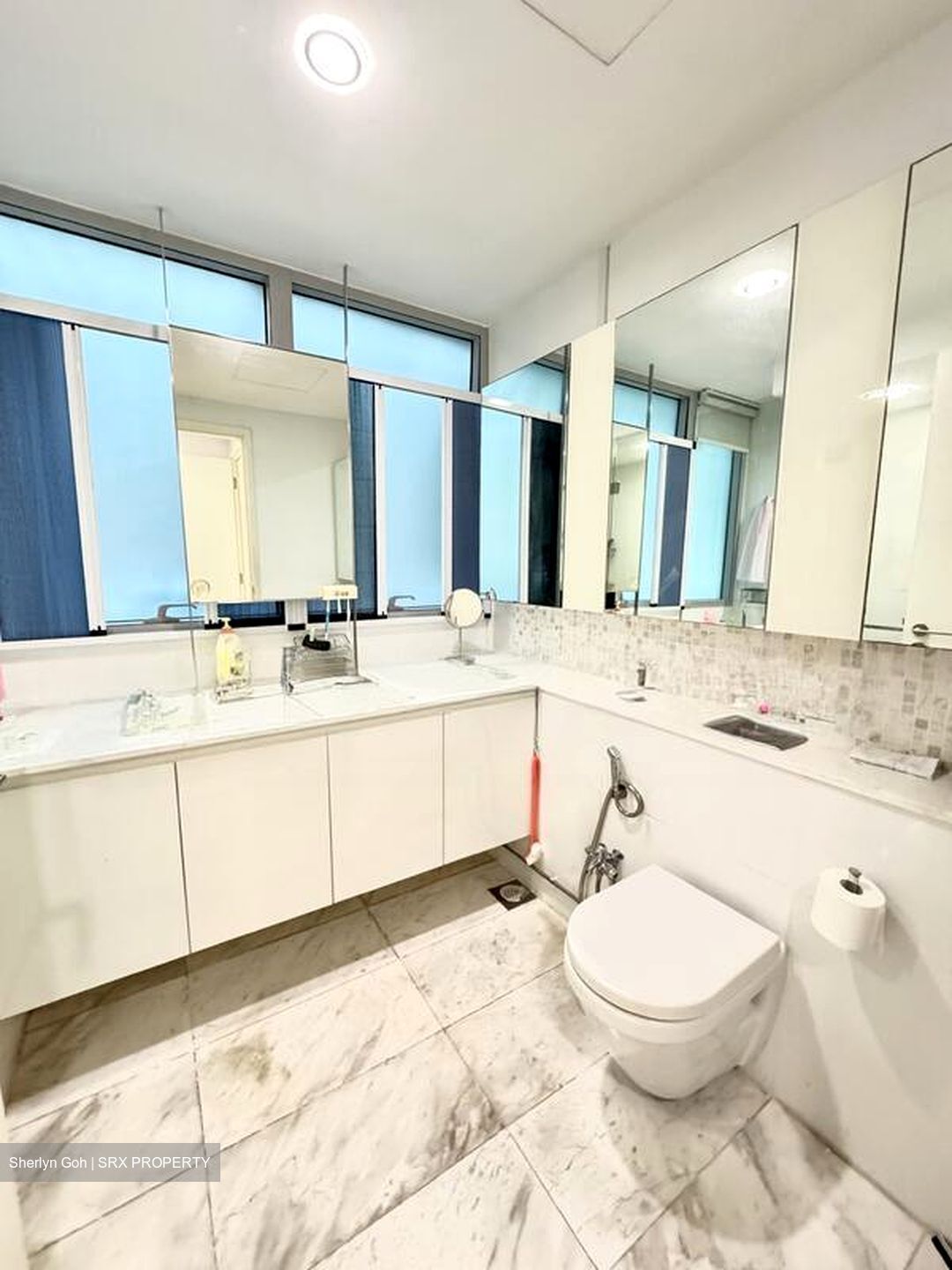 The Minton (D19), Condominium #497288511